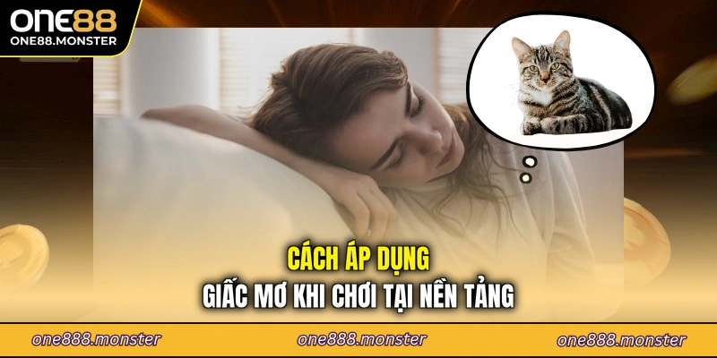 Cách áp dụng giấc mơ khi chơi tại nền tảng