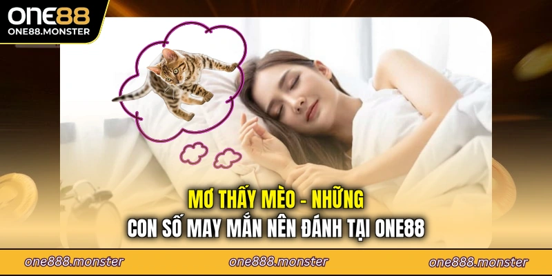 Mơ thấy mèo